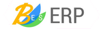 BES ERP Logo